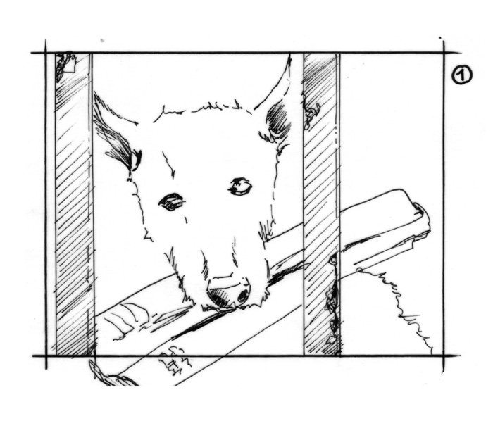 storyboard lotto sabotage films inked dog