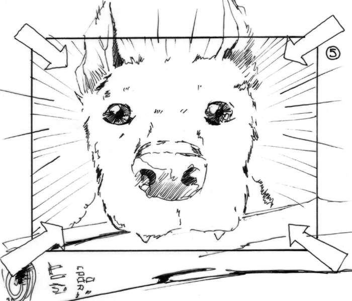 storyboard lotto sabotage films inked dog