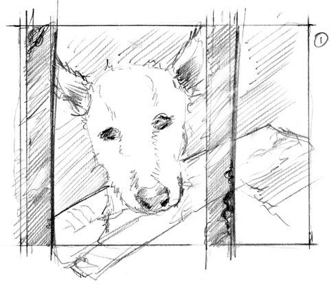 storyboard dog lotto sabotage films