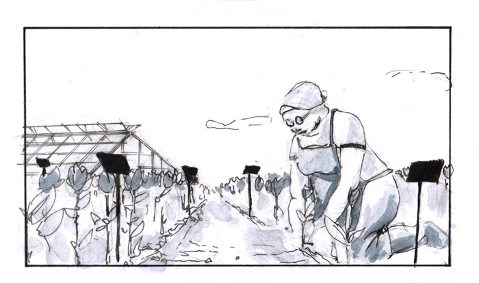 greytone storyboard old women in garden